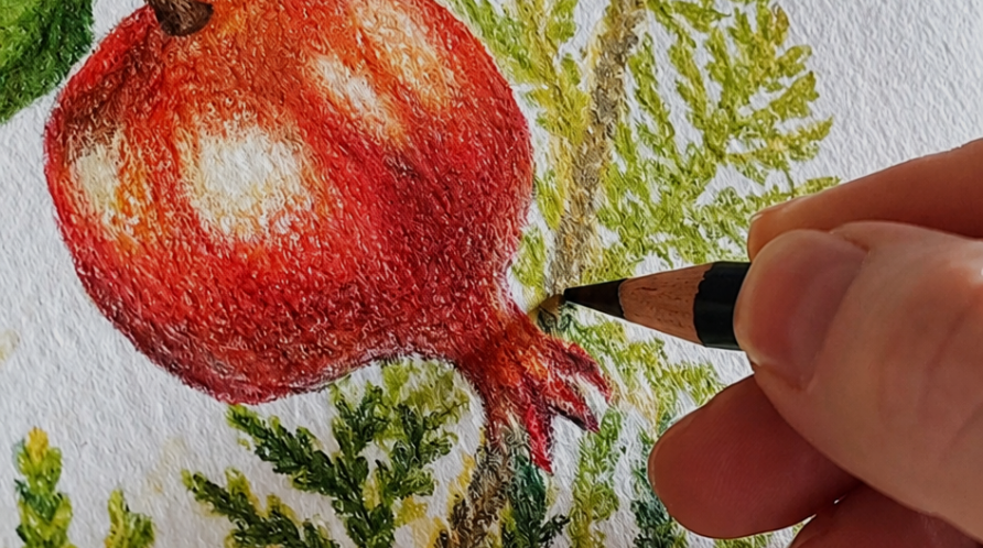Obras